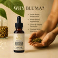 Load image into Gallery viewer, Bluma Wellness Herbal Infusion Booster Tincture, 15ml, Herbal Supplement with Echinacea, Elderberry & Astragalus Root - Bluma Wellness