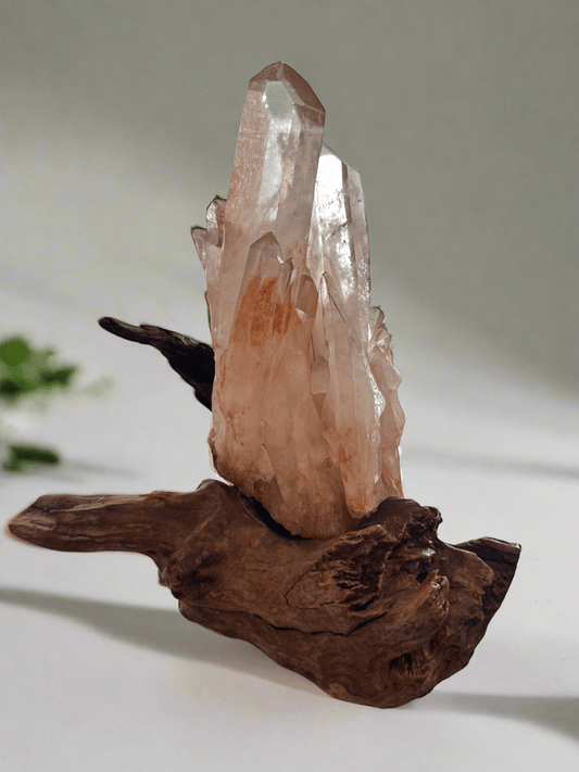 Handcrafted Red Clear Quartz Cluster on Wood Stand - BLUMA
