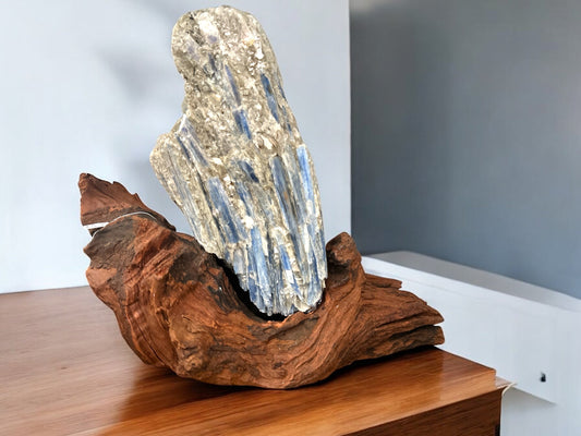 Kyanite Specimen on a hand - crafted wood stand - Reiki Lunas Shop
