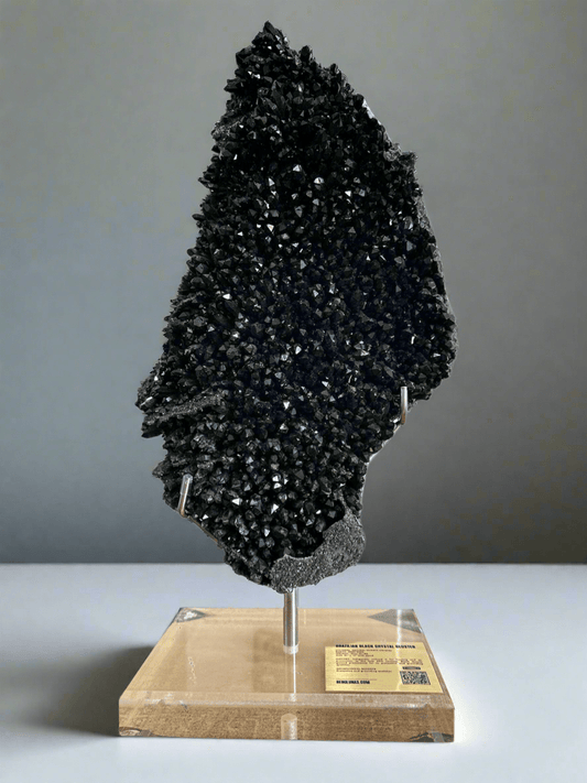 Large Rare Black Quartz Brazil Crystal Cluster - Stunning Display Piece - BLUMA