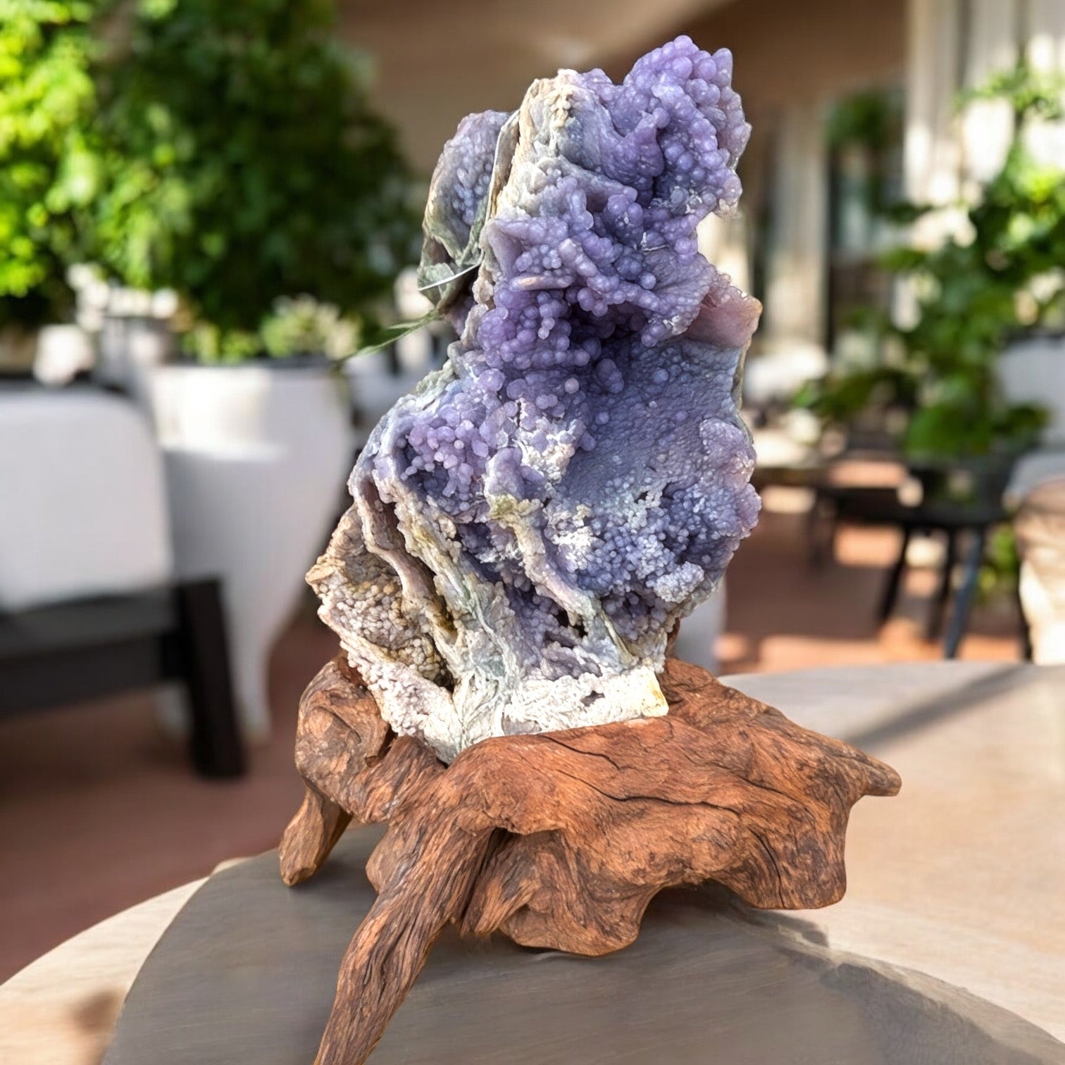 Healing Crystal Stand: Botryoidal Chalcedony Agate with Spiritual Energy - BLUMA Wellness