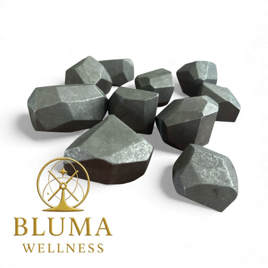 Shungite Free Form – EMF & Energy Protection Stone - 1 PC - Bluma Wellness